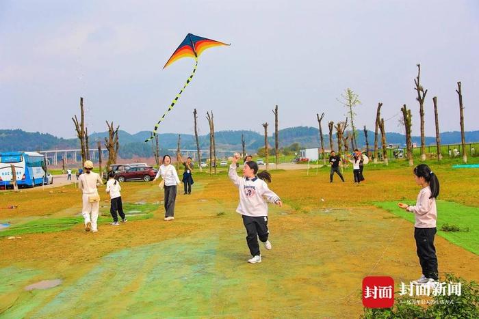 特色风筝巡游运动会，空中艺术盛宴的简单介绍