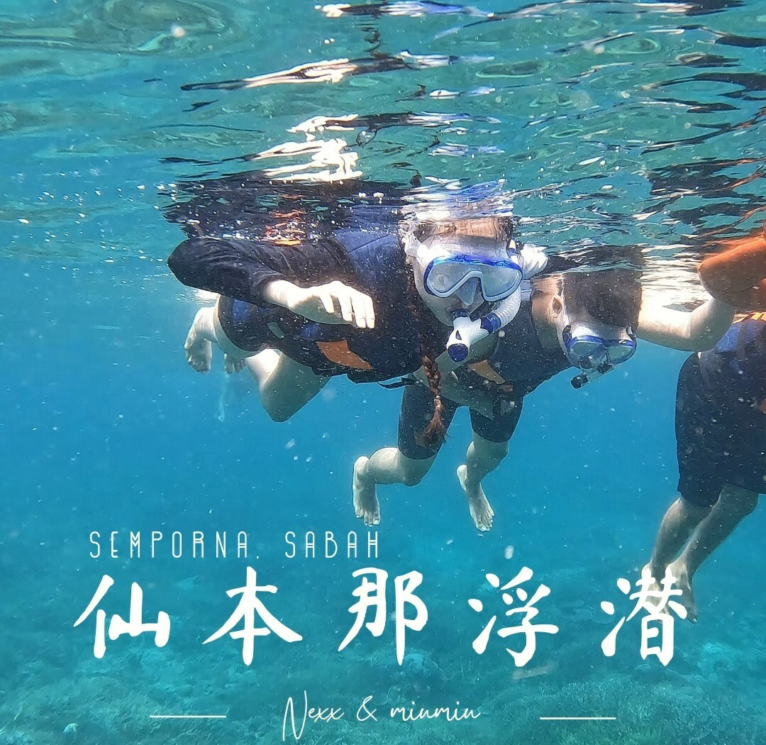 乐鱼体育登录-浮潜和潜水比赛，探索海底的神秘世界